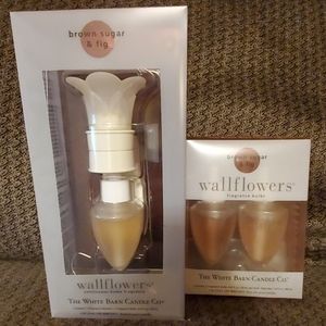 BBW Brown Sugar Fig Wallflower and refill